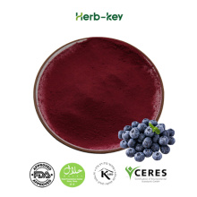 Organic Freeze-Dried Blueberry Juice Powder