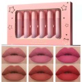 6 färger Pink Lipstick Gold Liquid Lipstick set