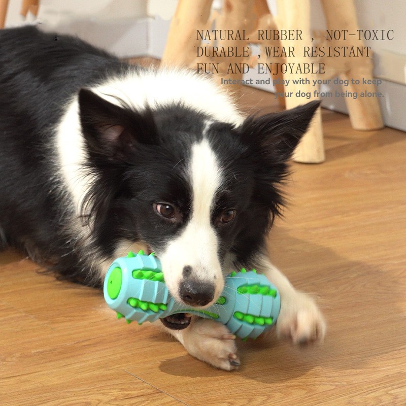 Rubber Dog Toy Dumbell