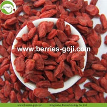 Wholesale Healthy Red Low Pesticide Goji Berry