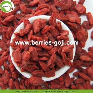 Hurtownia Zdrowe czerwone Niski Pestycyd Goji Berry