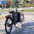 E Assist Cargo Ebike Batteria a buon mercato