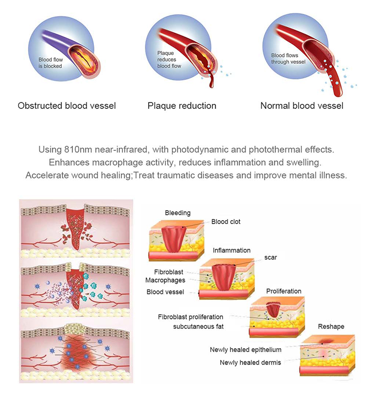 Collagen Beauty Red Light Therapy Bed Near Me