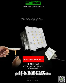45W LED MODULE GD20102002