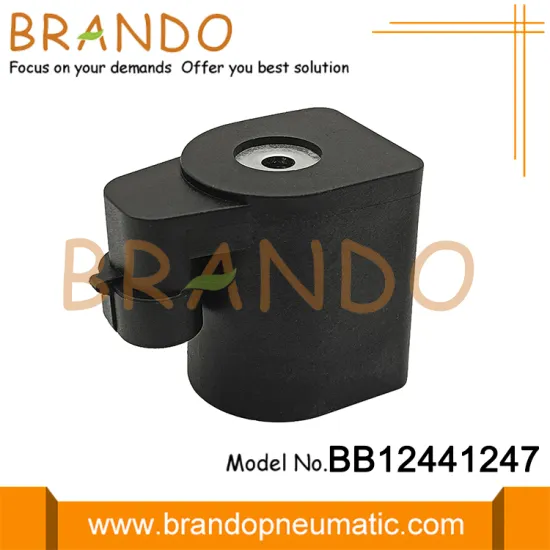 12VDC 24VDC 18W Solenoid Coil for LPG CNG Solenoid Cylinder Valve Reducer