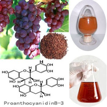 Grape Seed Extract OPC Oligomeric Proantho Cyanidins Powder