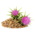 Chinese Wholesale Silybum Marianum Extract