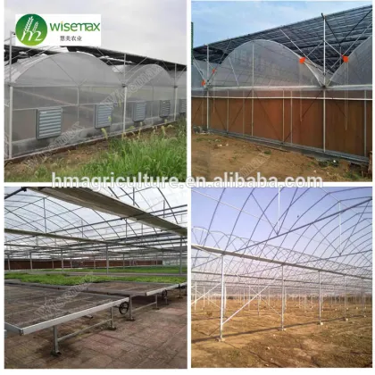2018 Hot sale agricultural solar plastic sunshine greenhouse