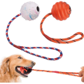 2 st hund träning boll på rep