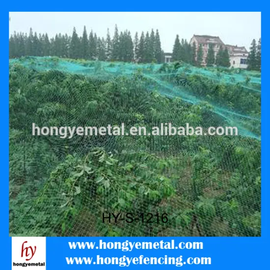 Plastic woven mesh fabric