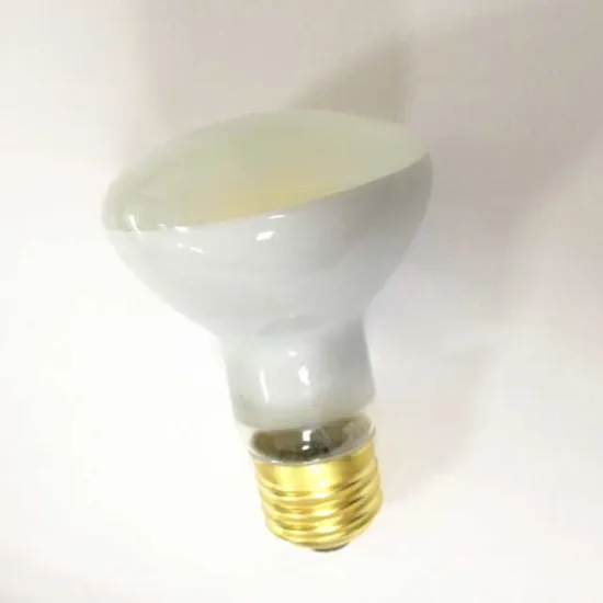 frosted glass R63 led filament bulb