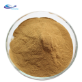 Salvianolic Acid b Extract Salvia Miltiorrhiza Root Extract