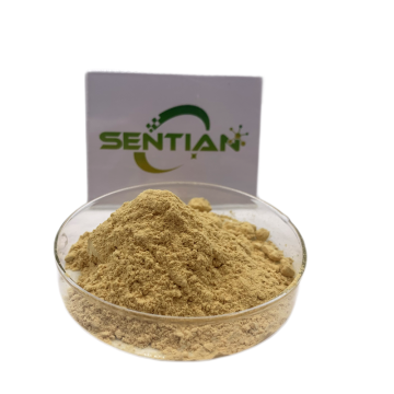 Microbial Rennet Cheese Chymosin Rennet