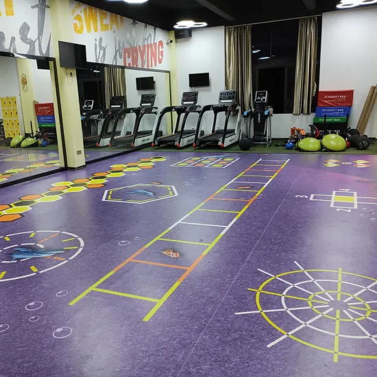 Professional Indoor Customized Gym PVC Flooring