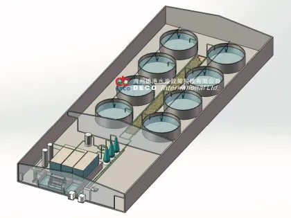 Recirculating Aquaculture System (RAS)