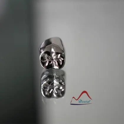 NP Full Metal Casting Crown