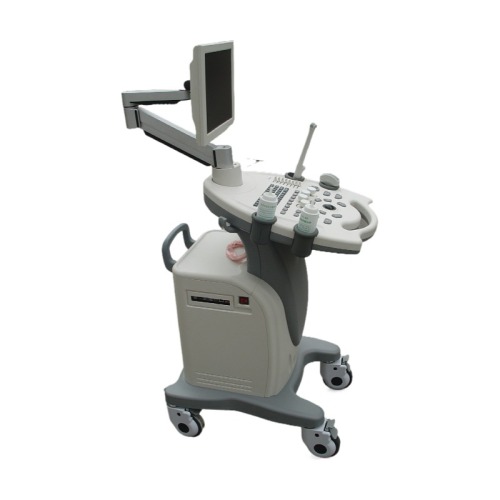 Hot Sale Trolley Color Doppler Ultrasound Diagnostic System