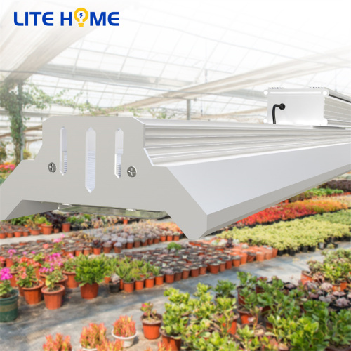 200W Full spectrum LED Plant Grow Light
