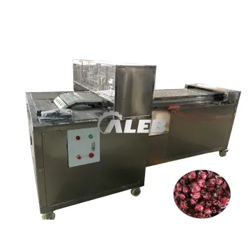 Professional Hibiscus Flower Seed Corer and Pitter Machine for Industrial Use
