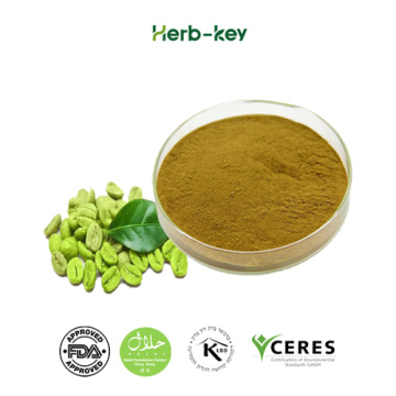 Spot supply chlorogenic acid green coffee bean extract