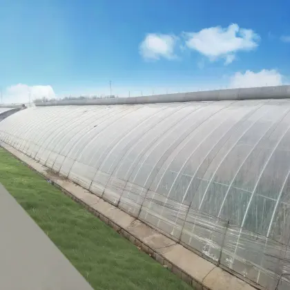 Passive Solar Greenhouse with Soil/Earth/Brick Walls for Cold Winter Agriculture in Canada