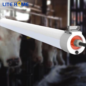 Led Tube Lighting Fixture 50 watt led tube light for outdoor canopies Factory