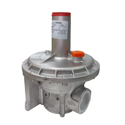 Pietro Fiorentini FMF301650005AB Natural Gas Pressure Regulator