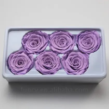 Yunnan FuncyFlora's Best 5-6cm Purple Natural Immortal Preserved Roses