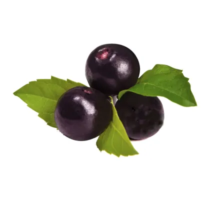 Acai Berry Anthocyanidins