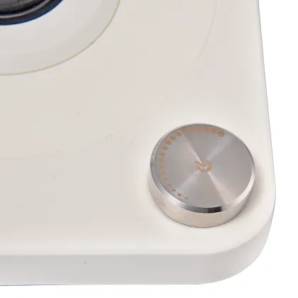 Electric Pour Over Gooseneck Kettle with Digital Panel