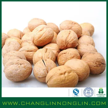 alibaba golden suppier for green organic high protein roasted walnut using in restaurant