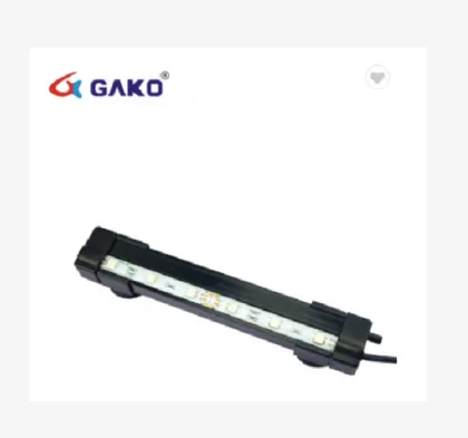 Bubble Lights Fish Underwater