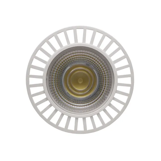 15W to 35W E27 LED Lamp PAR 38 with Triac Dimming Function - Black and White Options