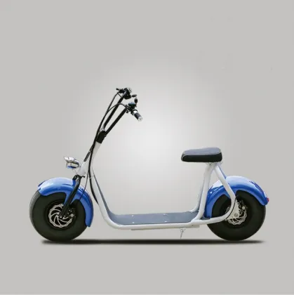 Electric Skateboard 800W New Design Fashion City Board