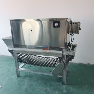 SUS 304 Automatic Onion Peeler / Onion Skin Peeling Machine