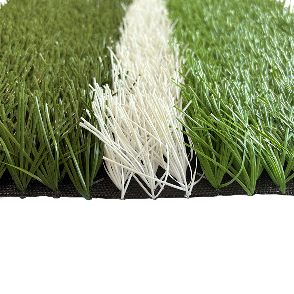 Football grass L6P0