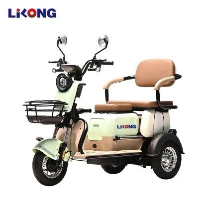 Lithium Battery Brushless Motor Electric Vehicles