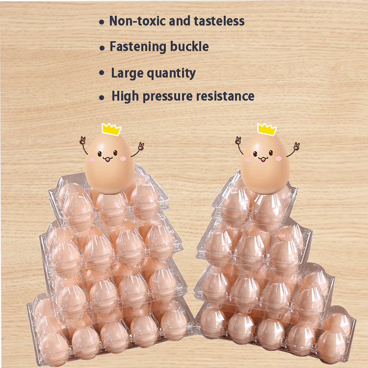 egg plastic tray