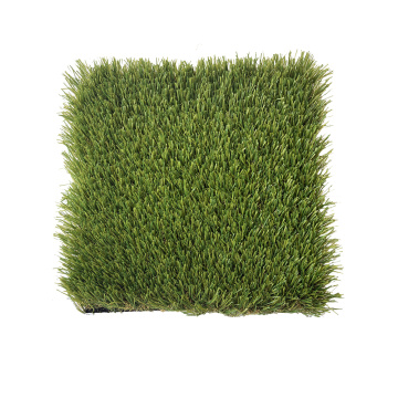 Rumput karpet kebun alami luar ruangan