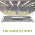 Best Led Grow Light 6x6