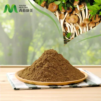 Agaricus Blazei Mushroom Extract Powder