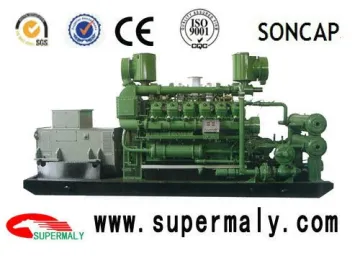 400KW/500KW Biomass Generator CE Certificate