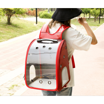 Portable Pet Stroller for Small Animals