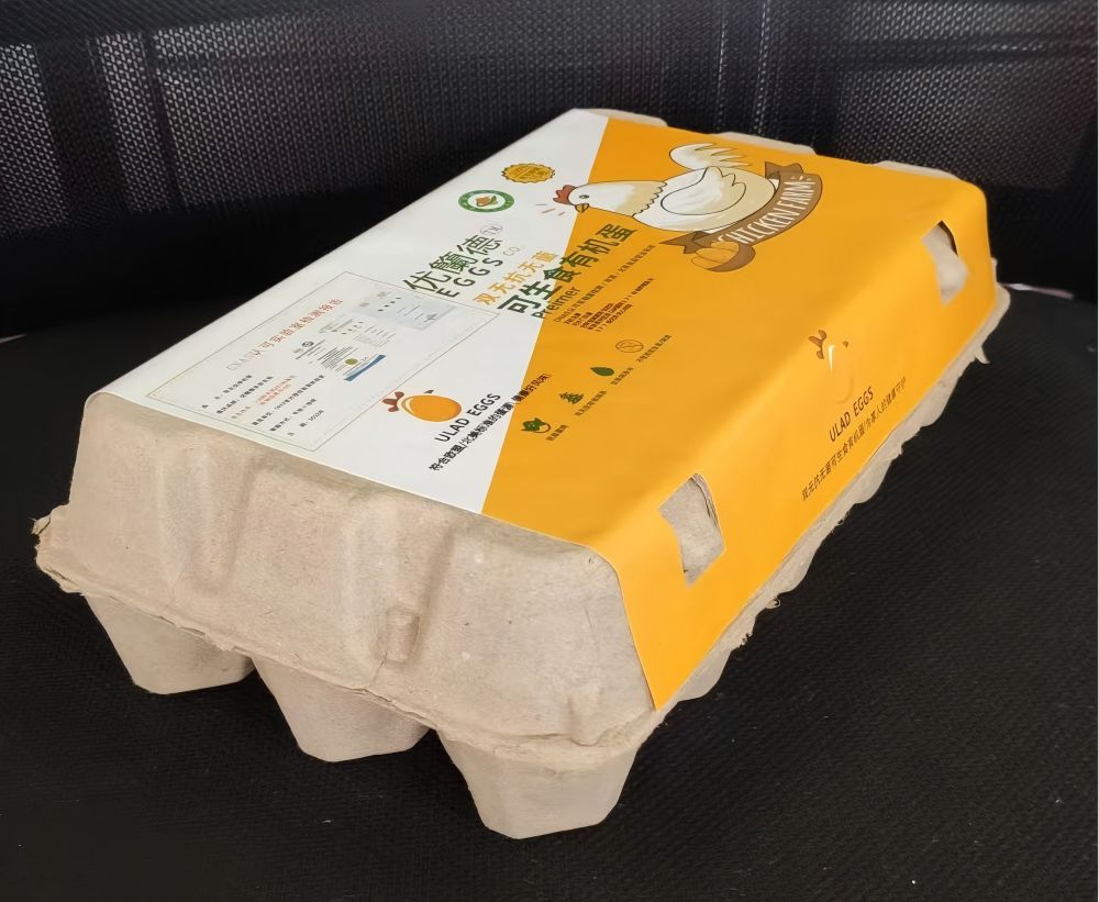 Yellow dry-pressed egg carton