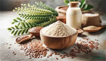 Supply Extract Powder Health Food Flaxseed Protein Powder