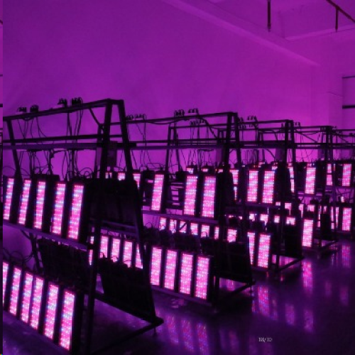 High Quality Led Grow Light for Growth Bloom