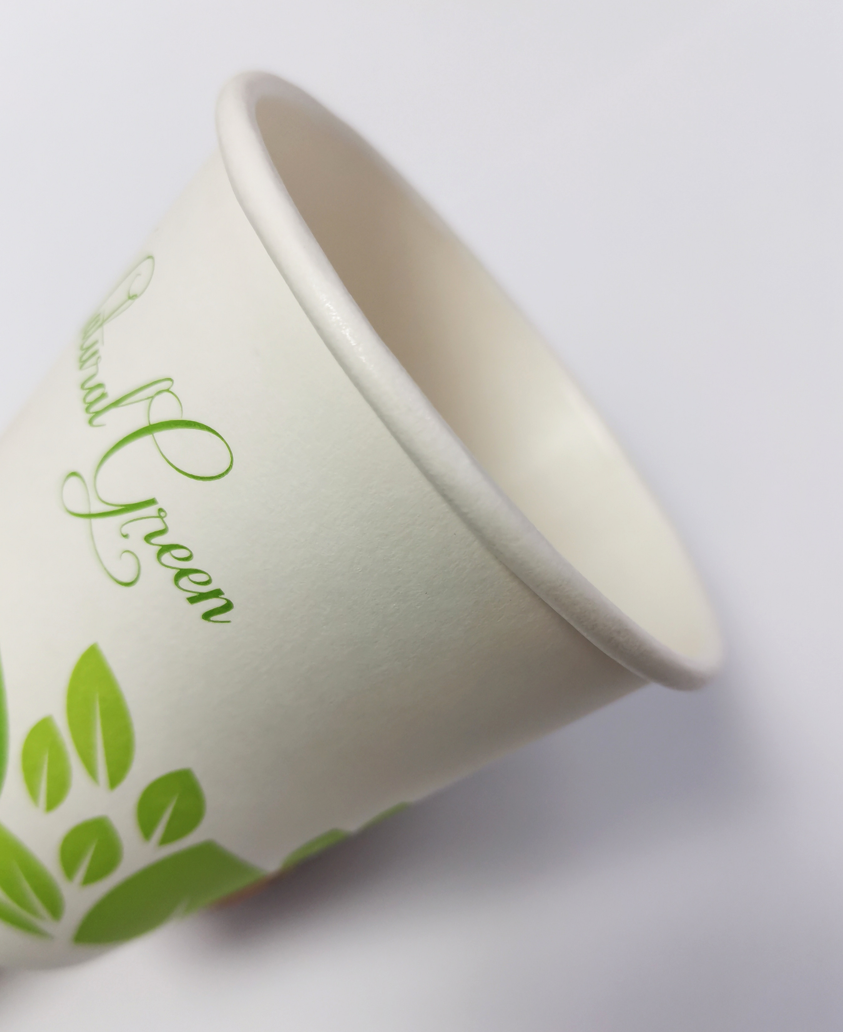 10oz Compostable Coffee Tea Paper Hot Cups 