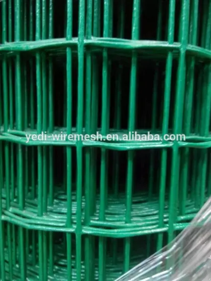 PVC coating welded wire mesh for school and farm