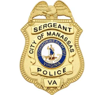 CUSTOM PINSTAR BADGE 1