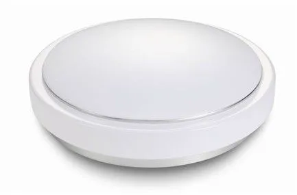 20w Ceiling-mounted Led Light Fitting With Ce Rohs Approved